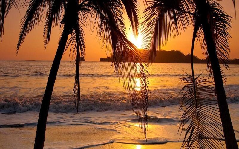 Hotel La Gaviota Tropical 普拉亚埃尔莫萨 外观 照片