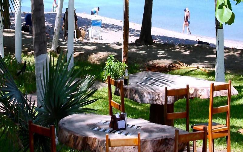 Hotel La Gaviota Tropical 普拉亚埃尔莫萨 外观 照片