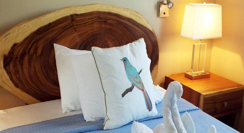 Hotel La Gaviota Tropical 普拉亚埃尔莫萨 外观 照片