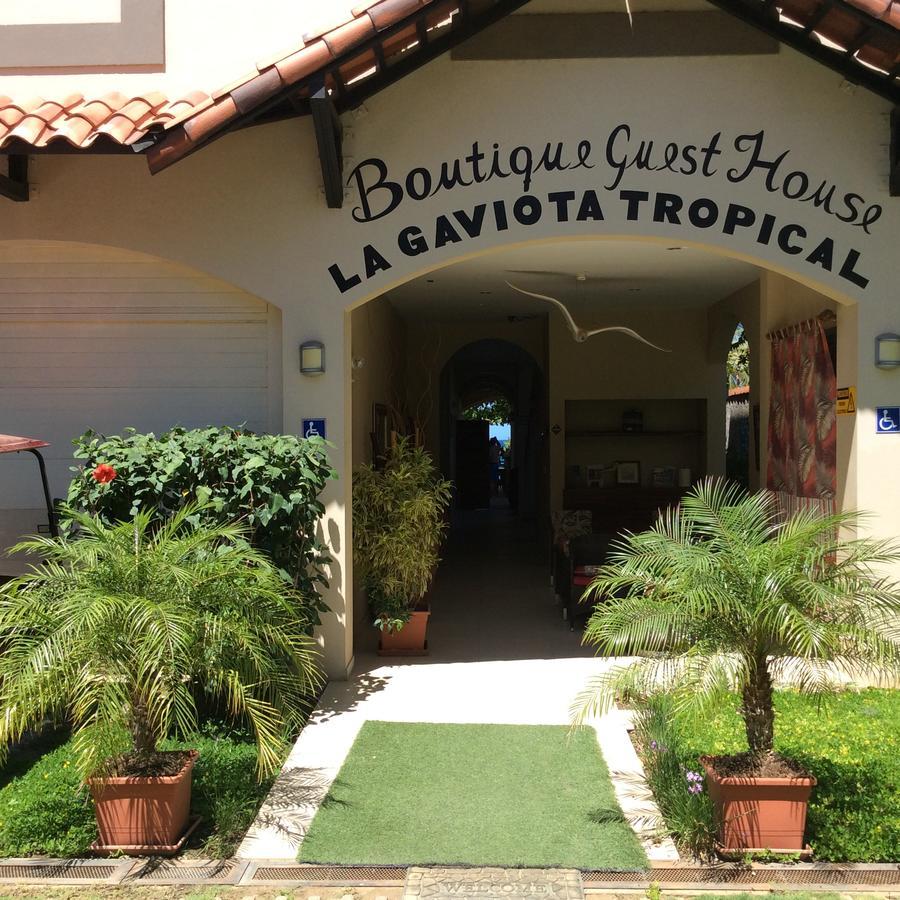 Hotel La Gaviota Tropical 普拉亚埃尔莫萨 外观 照片