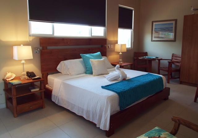 Hotel La Gaviota Tropical 普拉亚埃尔莫萨 外观 照片